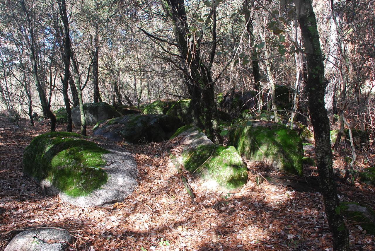 Sierra Trails Inn Mariposa Luaran gambar