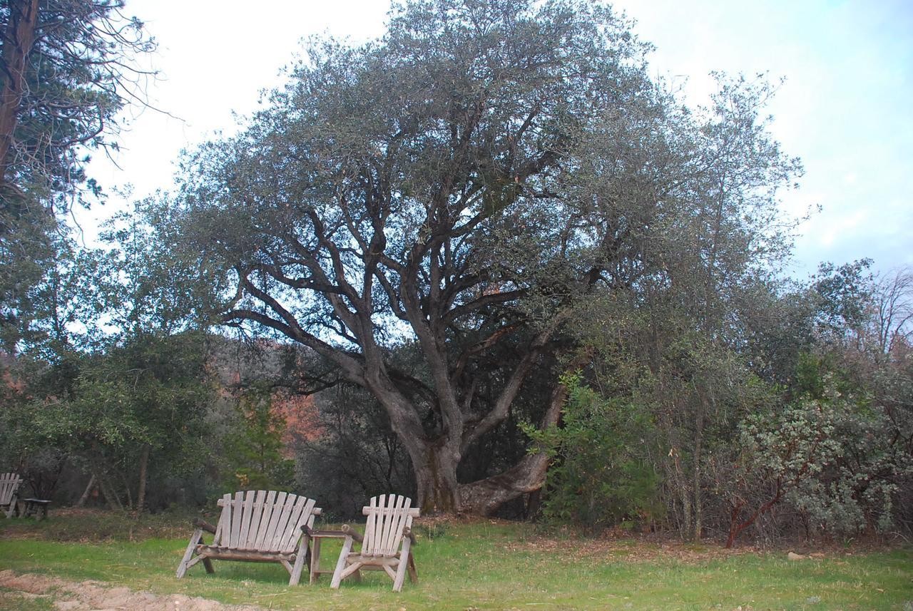 Sierra Trails Inn Mariposa Luaran gambar